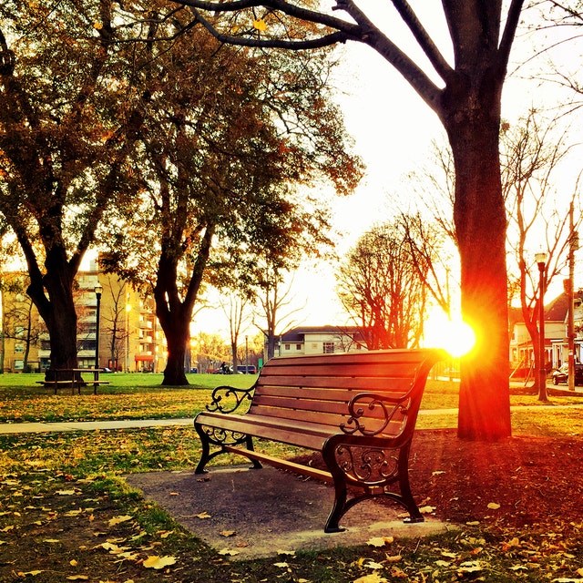 Bank im Park beim Sonnenuntergang