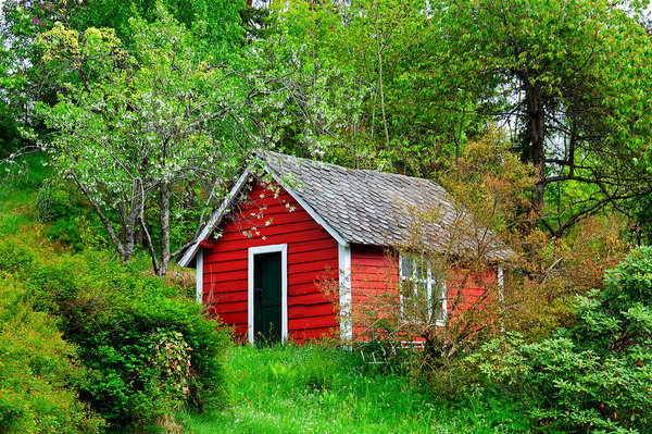 rote Gartenhütte in der Natur