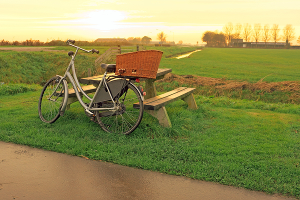 Fahrrad lehnt an Picknickbank